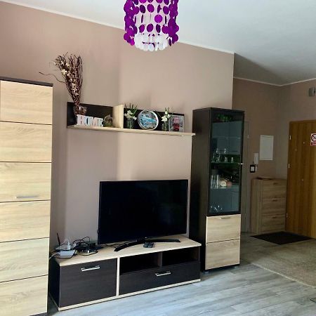 Sunny Apartment Bielsko-Biała Kültér fotó