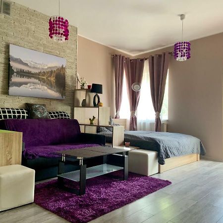 Sunny Apartment Bielsko-Biała Kültér fotó