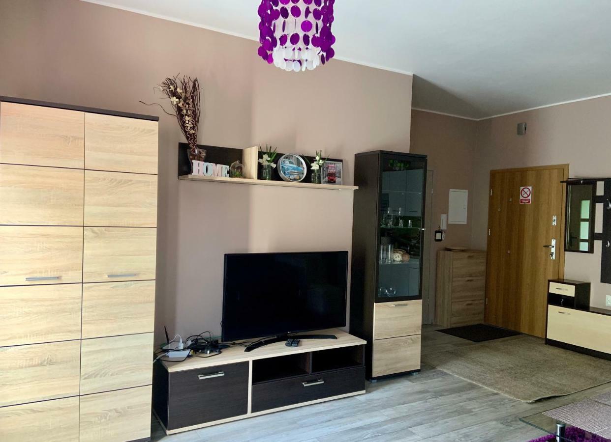 Sunny Apartment Bielsko-Biała Kültér fotó