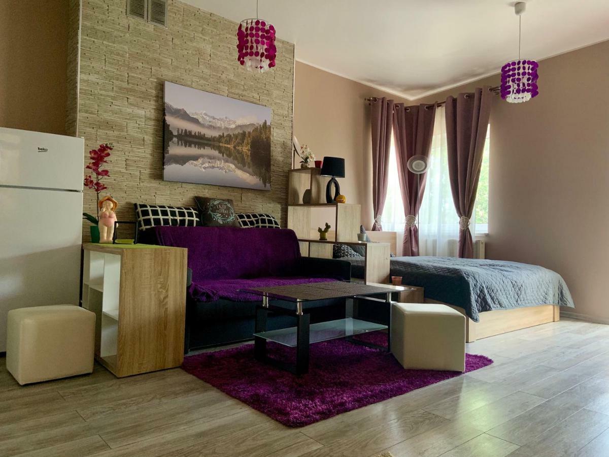 Sunny Apartment Bielsko-Biała Kültér fotó