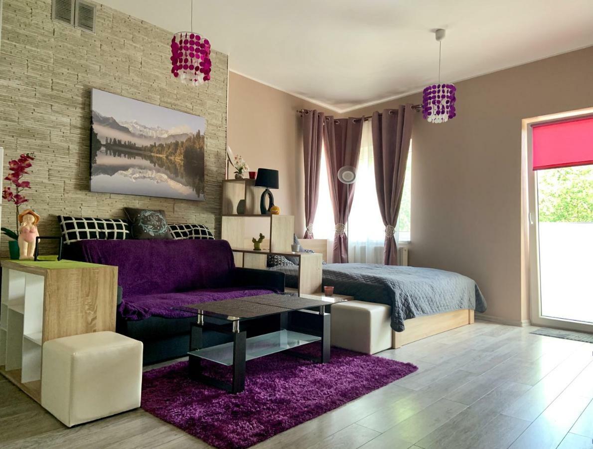 Sunny Apartment Bielsko-Biała Kültér fotó